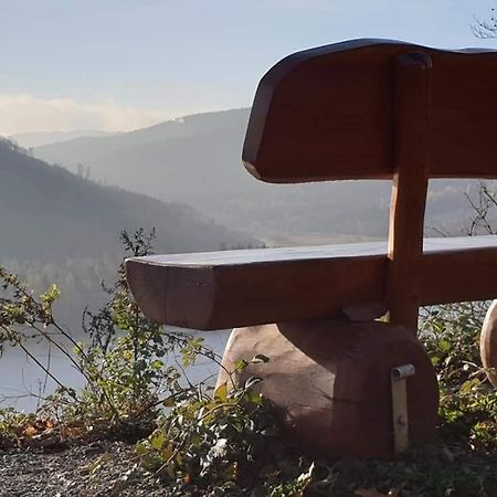 Ferienwohnung Reese- Horstmann Mit Hallenbad Und Sauna, Wlan "Harz Zu Jeder Jahreszeit" Бад-Гарцбург Экстерьер фото