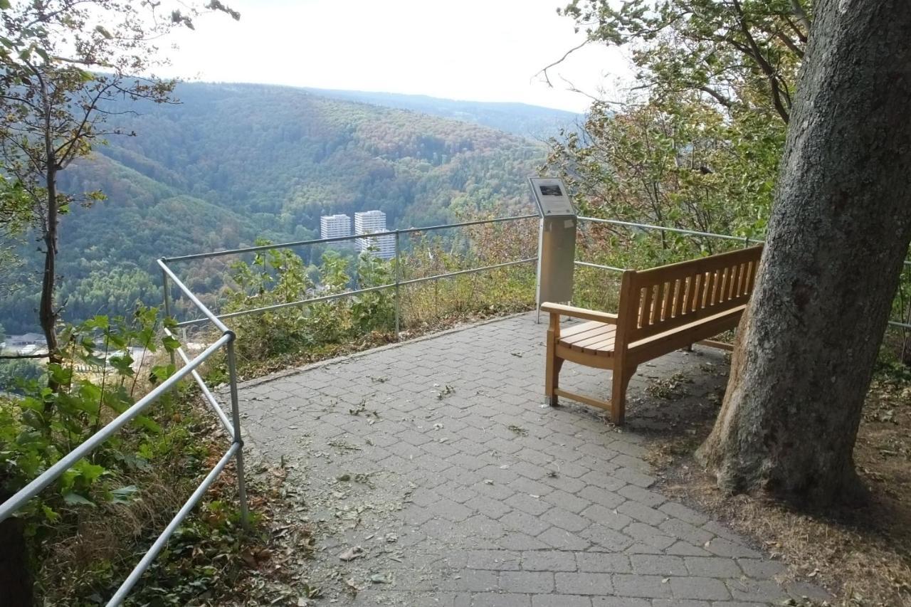 Ferienwohnung Reese- Horstmann Mit Hallenbad Und Sauna, Wlan "Harz Zu Jeder Jahreszeit" Бад-Гарцбург Экстерьер фото