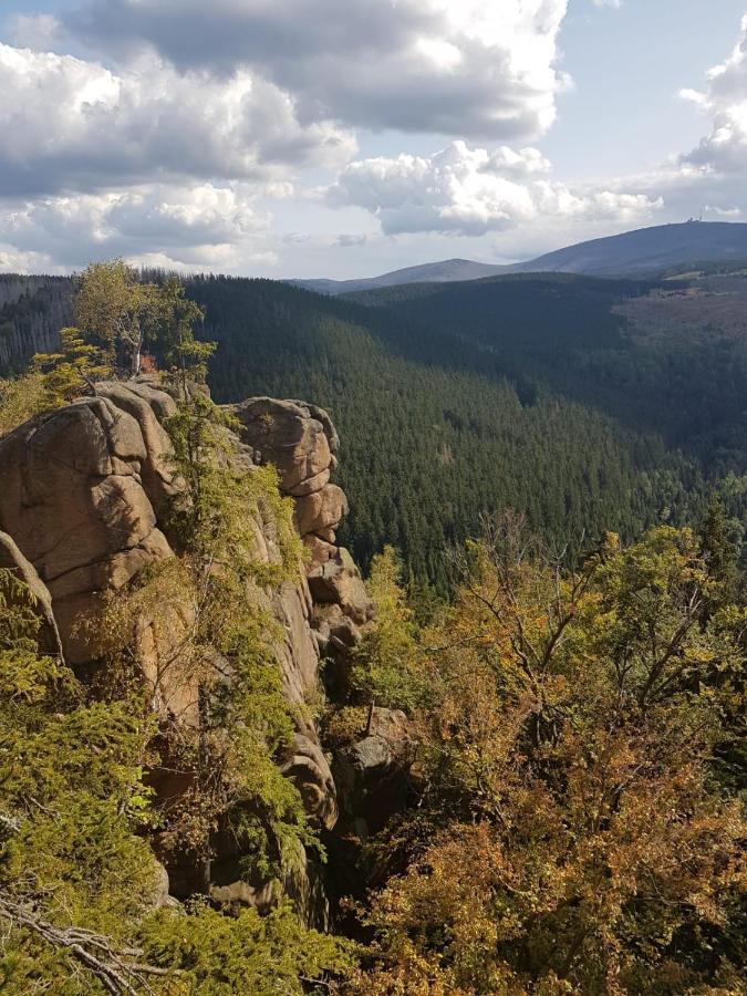 Ferienwohnung Reese- Horstmann Mit Hallenbad Und Sauna, Wlan "Harz Zu Jeder Jahreszeit" Бад-Гарцбург Экстерьер фото