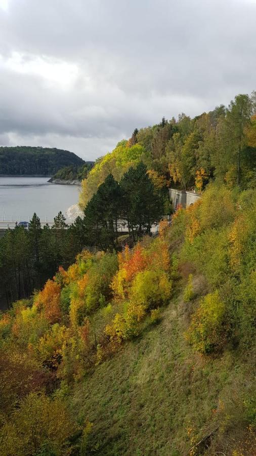 Ferienwohnung Reese- Horstmann Mit Hallenbad Und Sauna, Wlan "Harz Zu Jeder Jahreszeit" Бад-Гарцбург Экстерьер фото