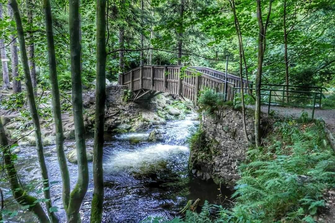 Ferienwohnung Reese- Horstmann Mit Hallenbad Und Sauna, Wlan "Harz Zu Jeder Jahreszeit" Бад-Гарцбург Экстерьер фото