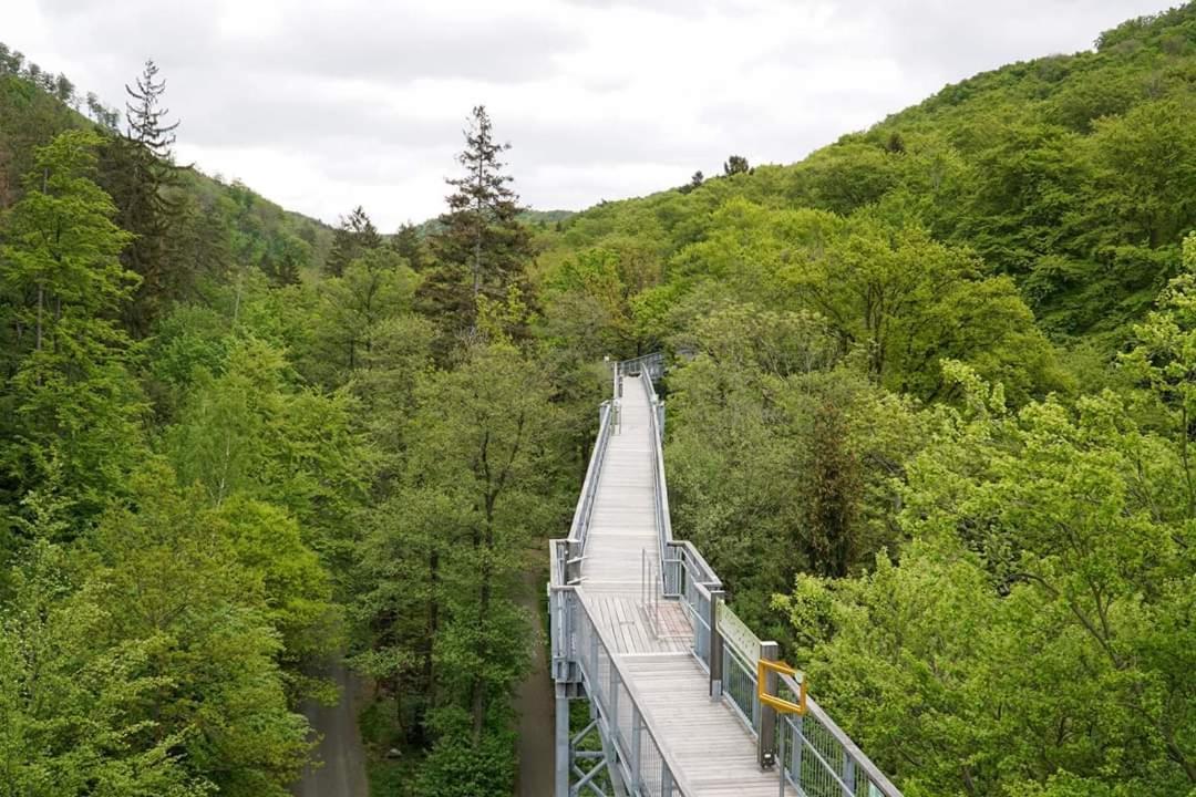 Ferienwohnung Reese- Horstmann Mit Hallenbad Und Sauna, Wlan "Harz Zu Jeder Jahreszeit" Бад-Гарцбург Экстерьер фото