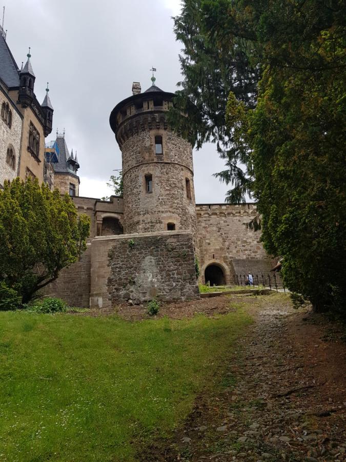 Ferienwohnung Reese- Horstmann Mit Hallenbad Und Sauna, Wlan "Harz Zu Jeder Jahreszeit" Бад-Гарцбург Экстерьер фото