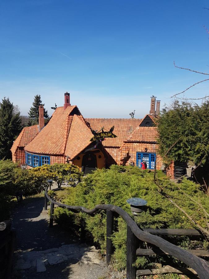 Ferienwohnung Reese- Horstmann Mit Hallenbad Und Sauna, Wlan "Harz Zu Jeder Jahreszeit" Бад-Гарцбург Экстерьер фото