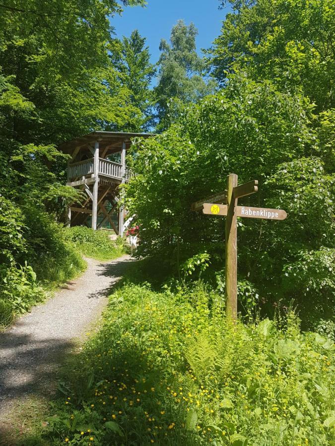 Ferienwohnung Reese- Horstmann Mit Hallenbad Und Sauna, Wlan "Harz Zu Jeder Jahreszeit" Бад-Гарцбург Экстерьер фото