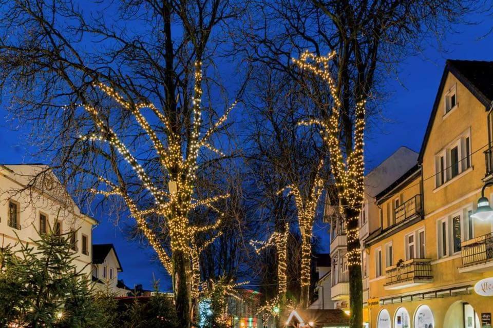 Ferienwohnung Reese- Horstmann Mit Hallenbad Und Sauna, Wlan "Harz Zu Jeder Jahreszeit" Бад-Гарцбург Экстерьер фото