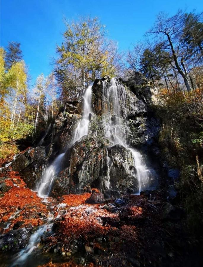 Ferienwohnung Reese- Horstmann Mit Hallenbad Und Sauna, Wlan "Harz Zu Jeder Jahreszeit" Бад-Гарцбург Экстерьер фото