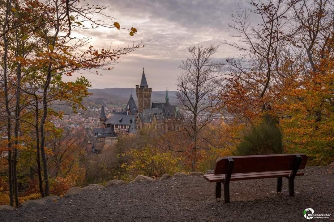 Ferienwohnung Reese- Horstmann Mit Hallenbad Und Sauna, Wlan "Harz Zu Jeder Jahreszeit" Бад-Гарцбург Экстерьер фото