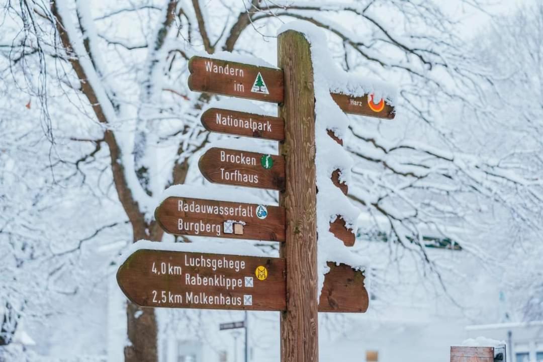 Ferienwohnung Reese- Horstmann Mit Hallenbad Und Sauna, Wlan "Harz Zu Jeder Jahreszeit" Бад-Гарцбург Экстерьер фото