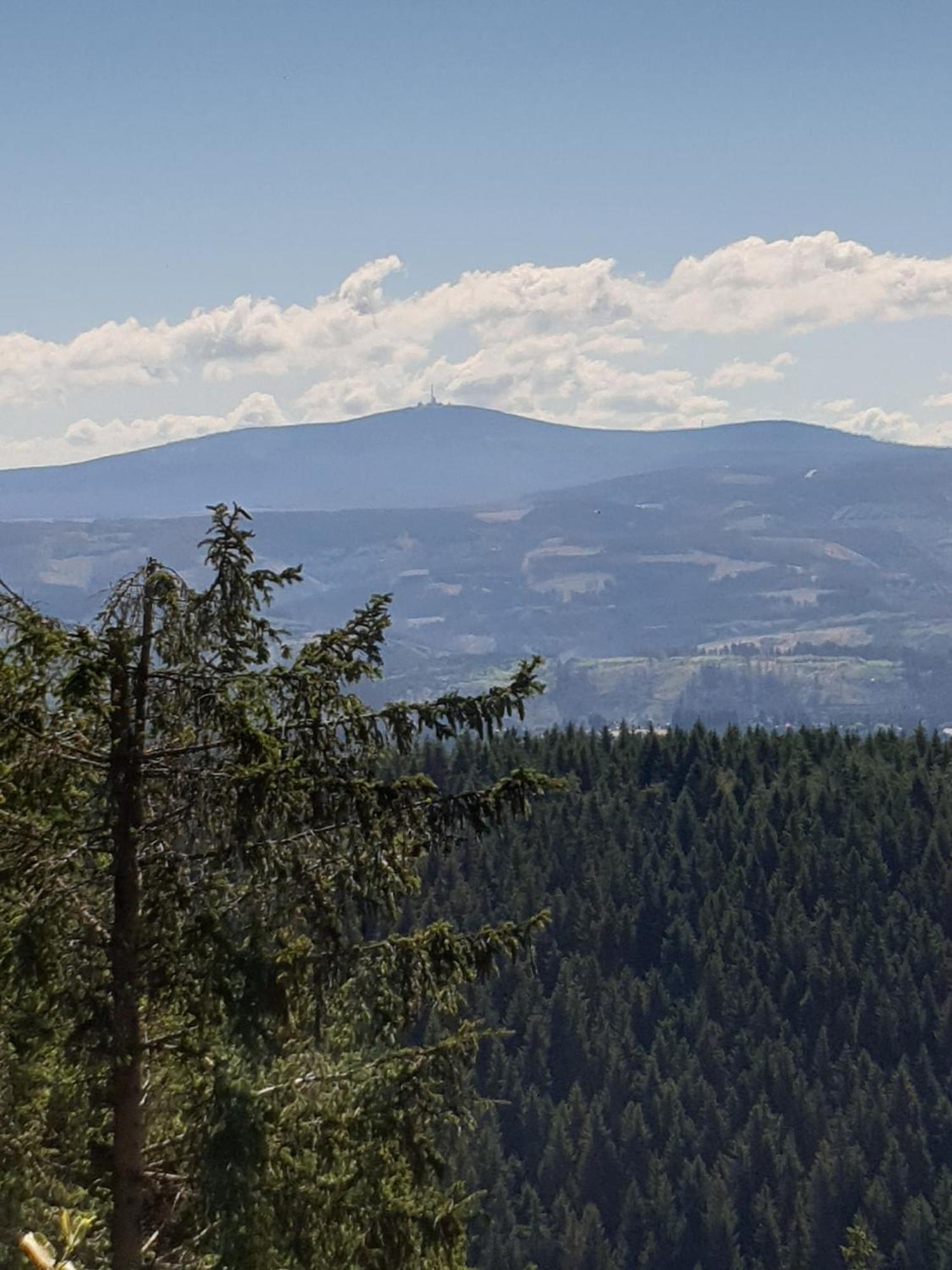 Ferienwohnung Reese- Horstmann Mit Hallenbad Und Sauna, Wlan "Harz Zu Jeder Jahreszeit" Бад-Гарцбург Номер фото
