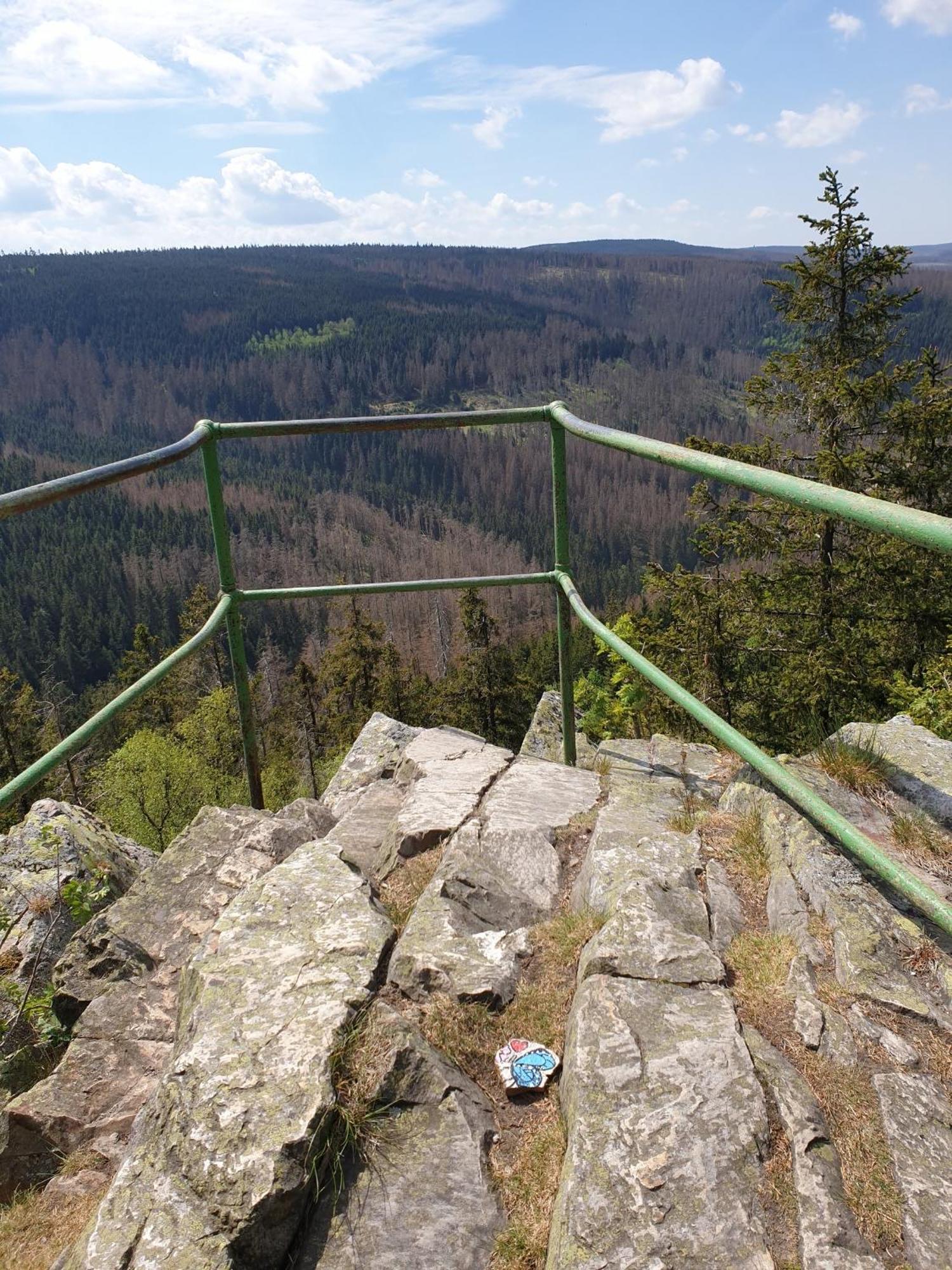 Ferienwohnung Reese- Horstmann Mit Hallenbad Und Sauna, Wlan "Harz Zu Jeder Jahreszeit" Бад-Гарцбург Номер фото