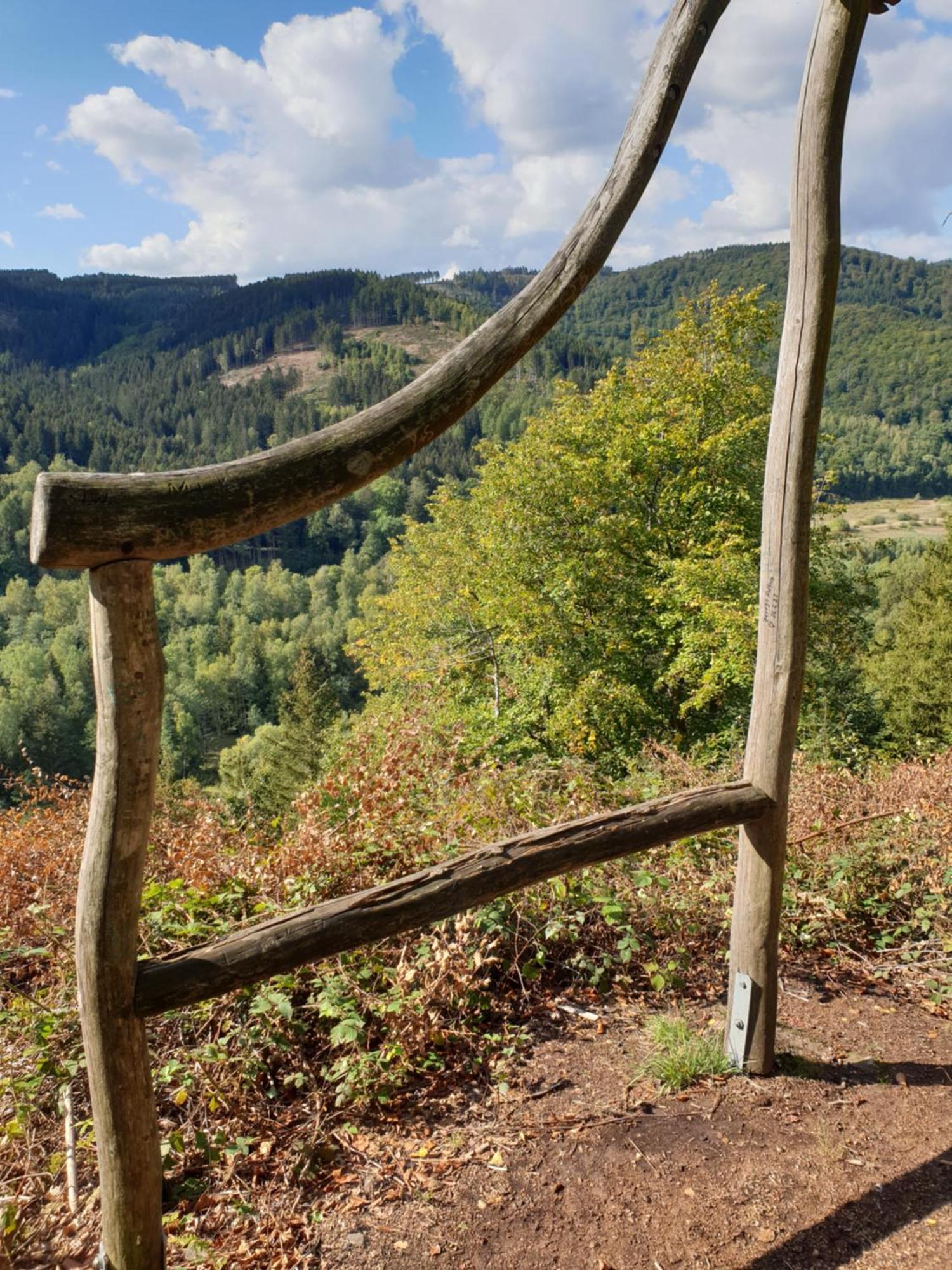 Ferienwohnung Reese- Horstmann Mit Hallenbad Und Sauna, Wlan "Harz Zu Jeder Jahreszeit" Бад-Гарцбург Номер фото