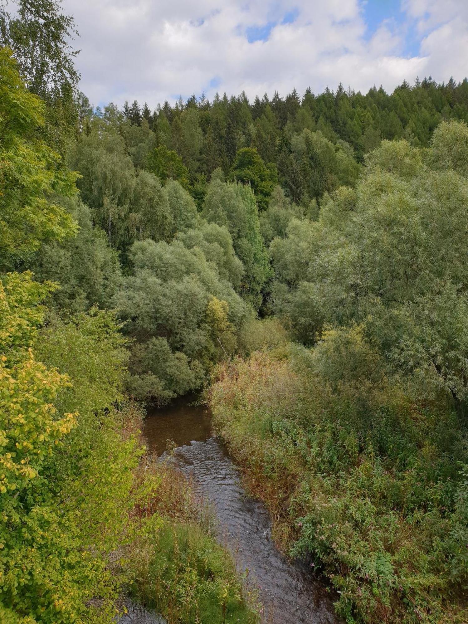 Ferienwohnung Reese- Horstmann Mit Hallenbad Und Sauna, Wlan "Harz Zu Jeder Jahreszeit" Бад-Гарцбург Номер фото