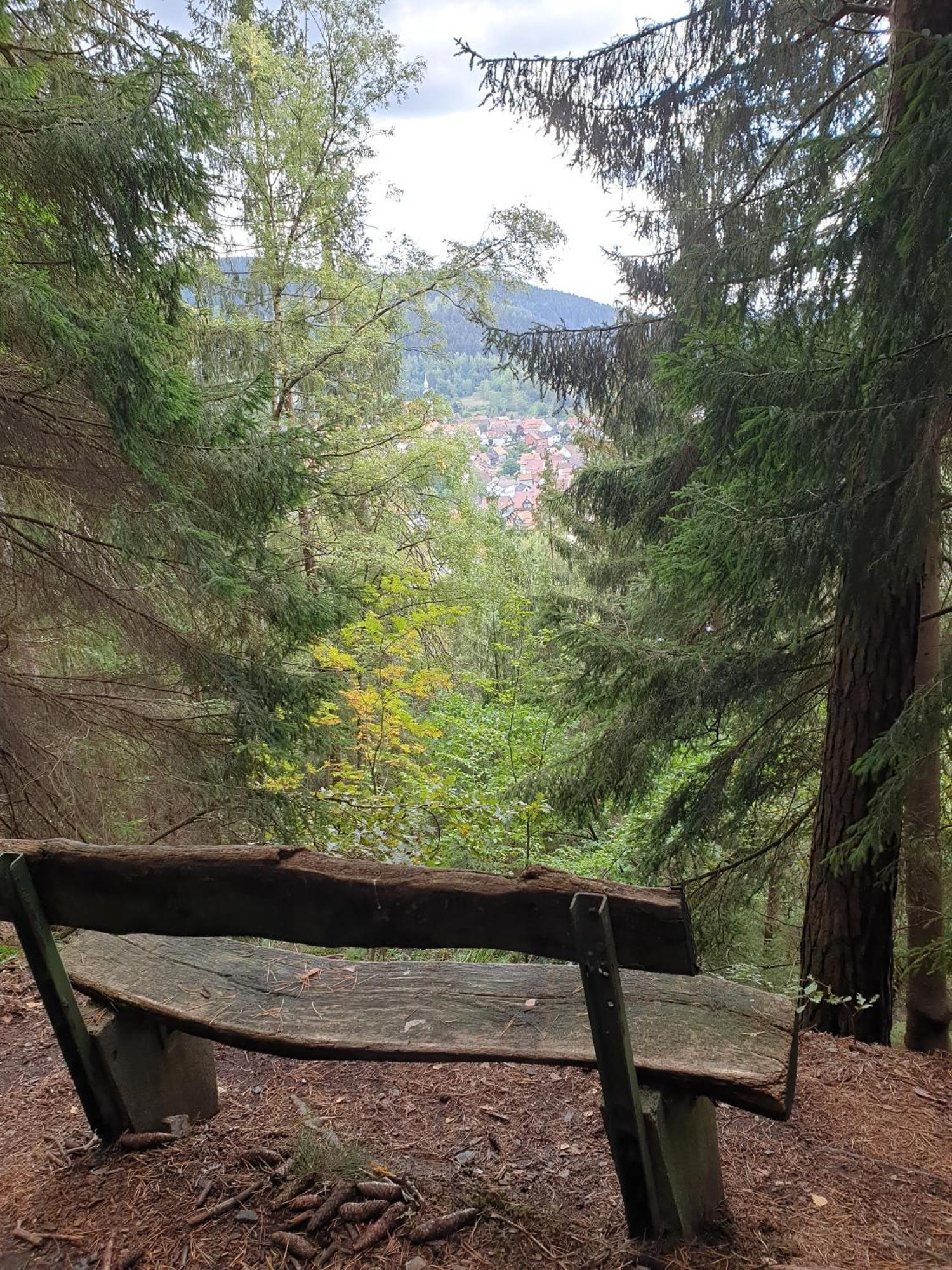 Ferienwohnung Reese- Horstmann Mit Hallenbad Und Sauna, Wlan "Harz Zu Jeder Jahreszeit" Бад-Гарцбург Номер фото
